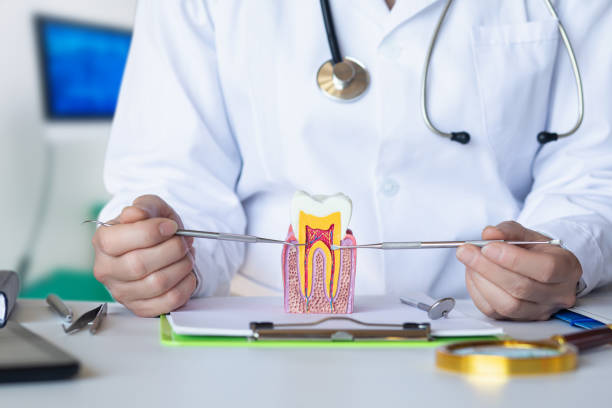 Best Emergency Treatment for Dental Infections or Abscesses in Coraopolis, PA